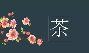 77֮˲Ӫҵչڲ֪ʶѵ